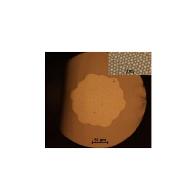 Fibra de fibra de imagem Multicore: 3000100000 Abertura numérica (NA):> 0.5